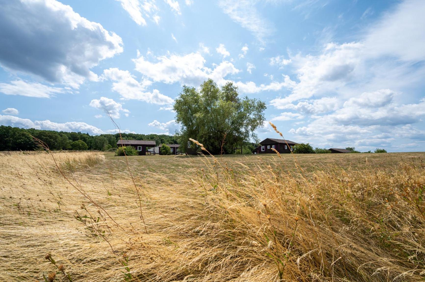Camping Les Vosges Du Nord Oberbronn Экстерьер фото